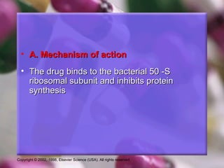 Copyright © 2002, 1998, Elsevier Science (USA). All rights reserved.
• A. Mechanism of actionA. Mechanism of action
• The drug binds to the bacterial 50 -SThe drug binds to the bacterial 50 -S
ribosomal subunit and inhibits proteinribosomal subunit and inhibits protein
synthesissynthesis
 