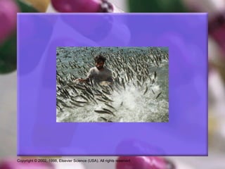 Copyright © 2002, 1998, Elsevier Science (USA). All rights reserved.
 