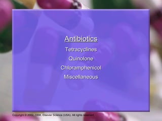 Copyright © 2002, 1998, Elsevier Science (USA). All rights reserved.
AntibioticsAntibiotics
TetracyclinesTetracyclines
QuinoloneQuinolone
ChloramphenicolChloramphenicol
MiscellaneousMiscellaneous
 