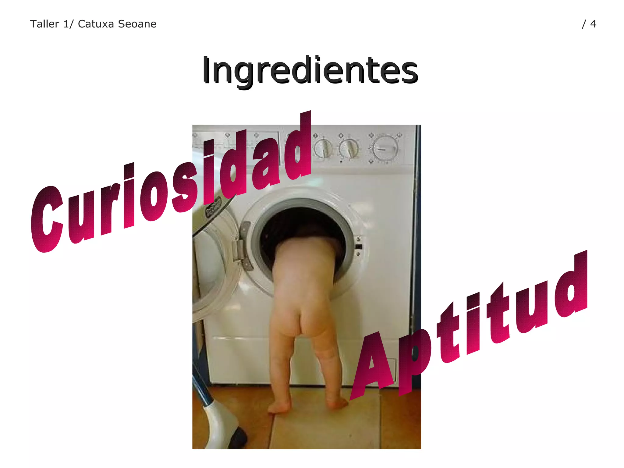 Taller 1/ Catuxa Seoane /  Ingredientes Curiosidad Aptitud 