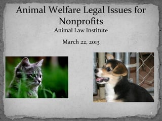 Animal Welfare Legal Issues for
        Nonprofits
         Animal Law Institute
            March 22, 2013




                                  1
 