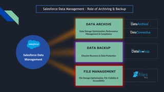 WEBINAR: How Salesforce Data Archive Has Evolved & Strategies That ...