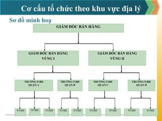 Chi tiết hơn 75 về mô hình tổ chức lực lượng bán hàng hay nhất  Tin học  Đông Hòa