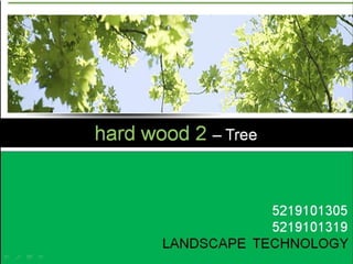 hard wood - pavement - fence – gate-floor hard wood 2 – Tree                                                                         5219101305                                                                        5219101319 LANDSCAPE  TECHNOLOGY 