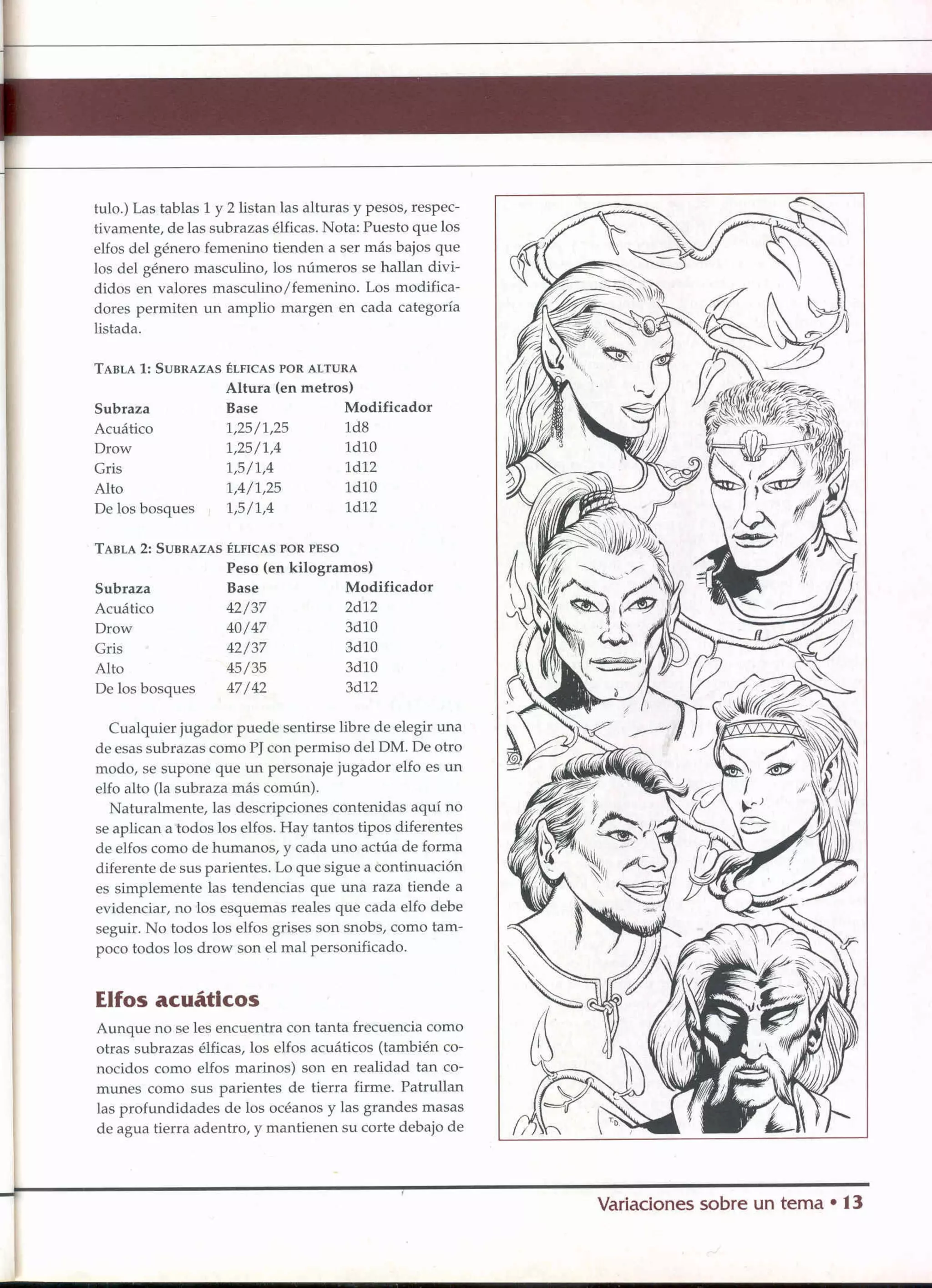 D&D   2.0 -el libro de los elfos