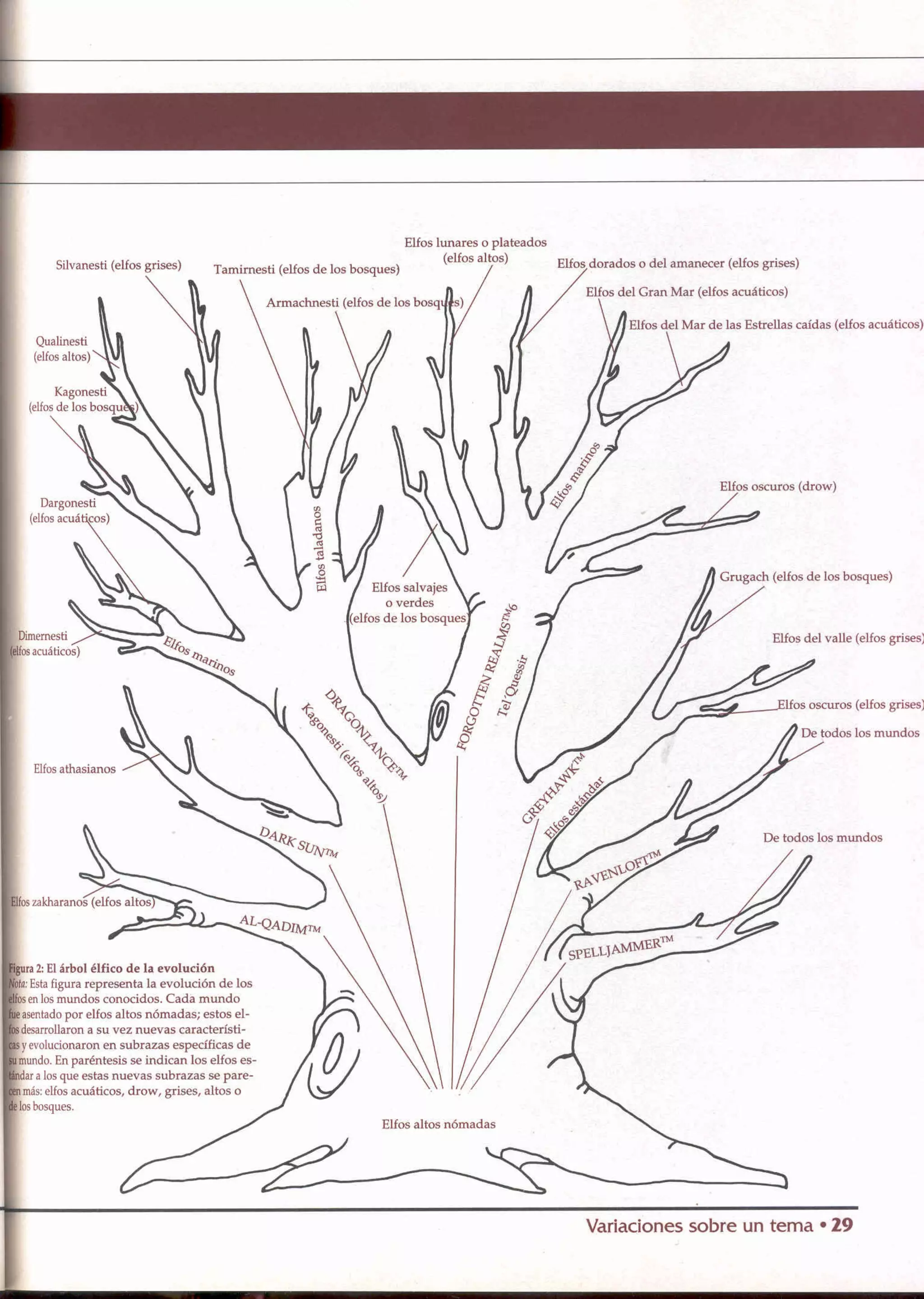 D&D   2.0 -el libro de los elfos