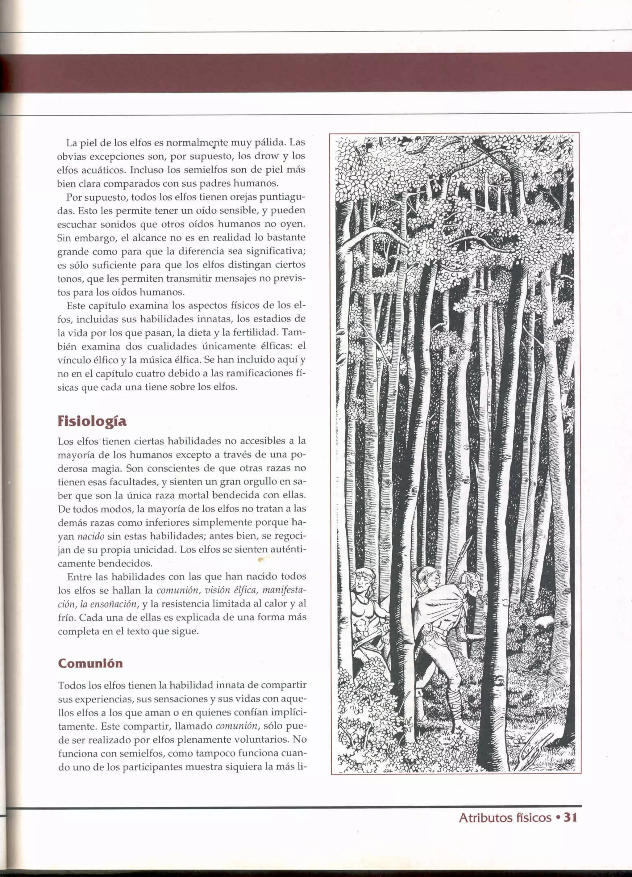 D&D   2.0 -el libro de los elfos