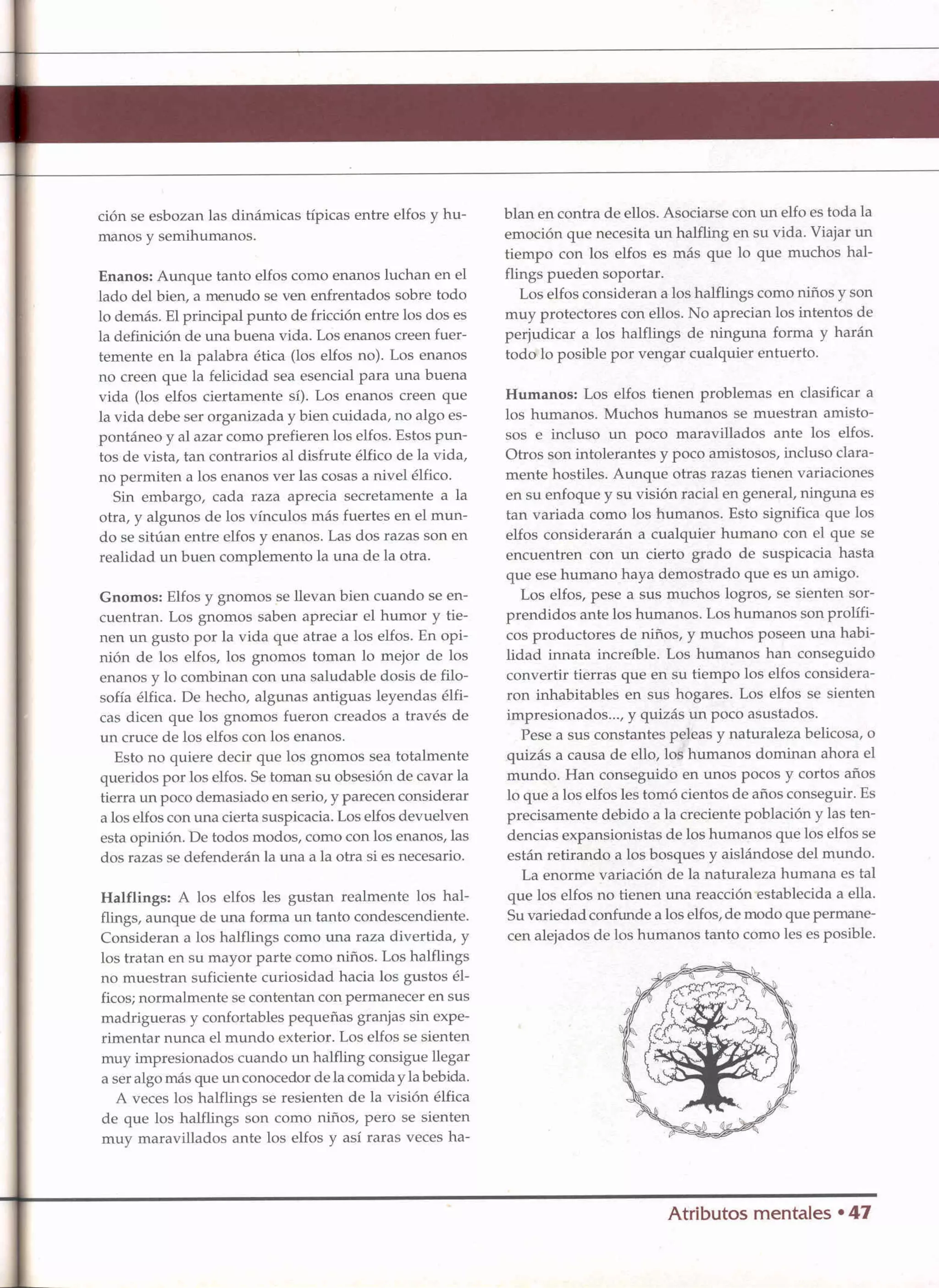 D&D   2.0 -el libro de los elfos