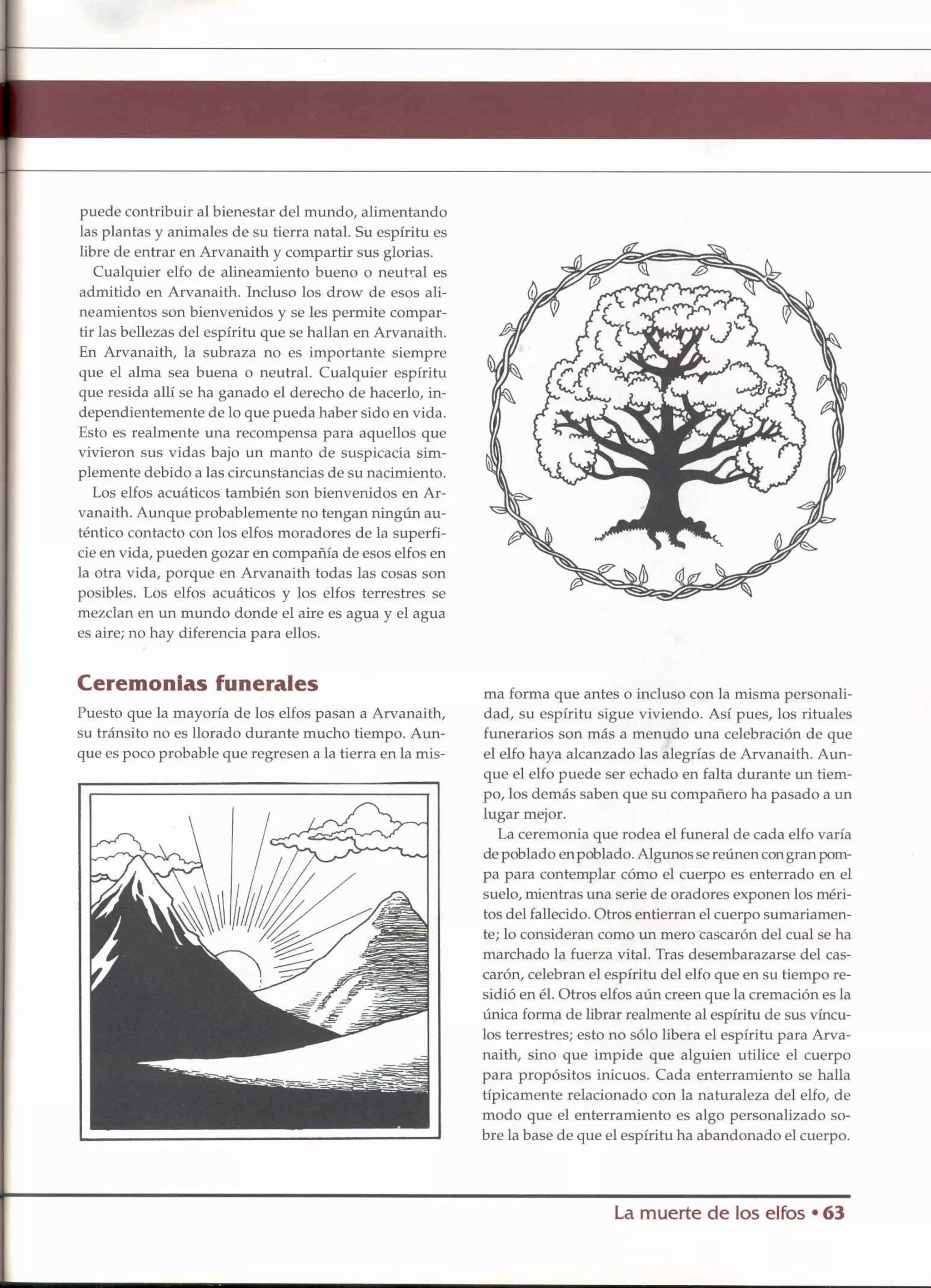 D&D   2.0 -el libro de los elfos