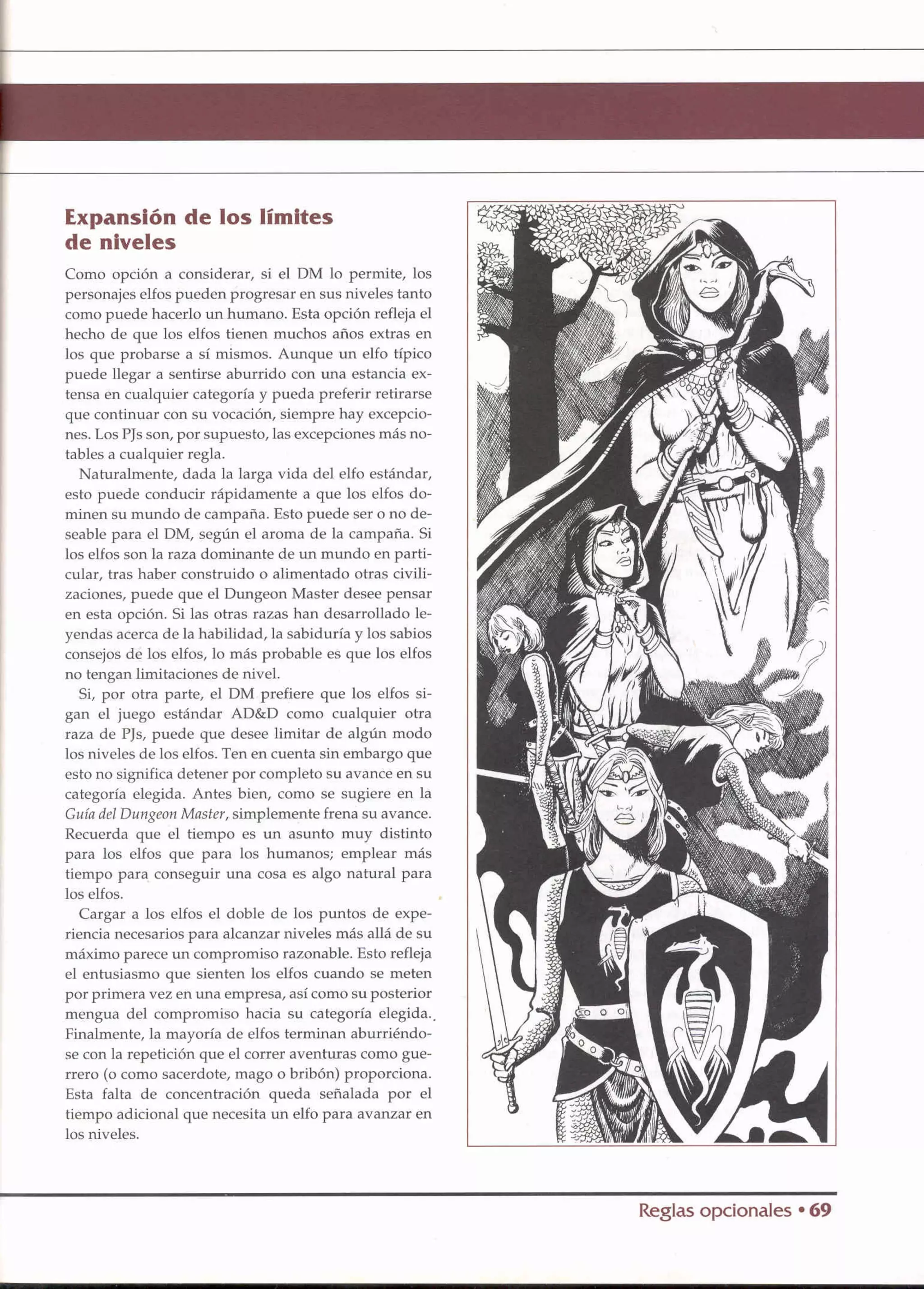D&D   2.0 -el libro de los elfos