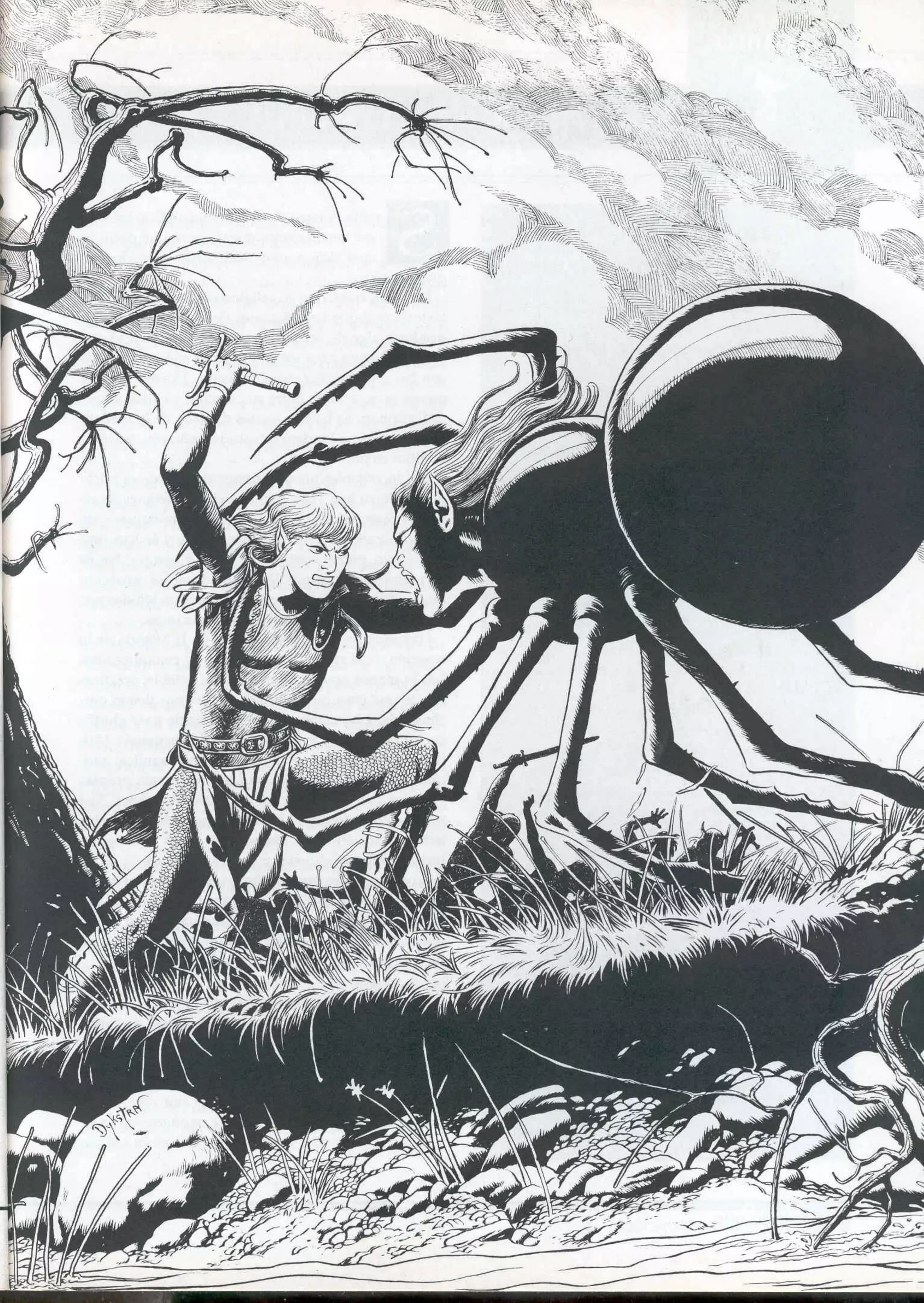 D&D   2.0 -el libro de los elfos