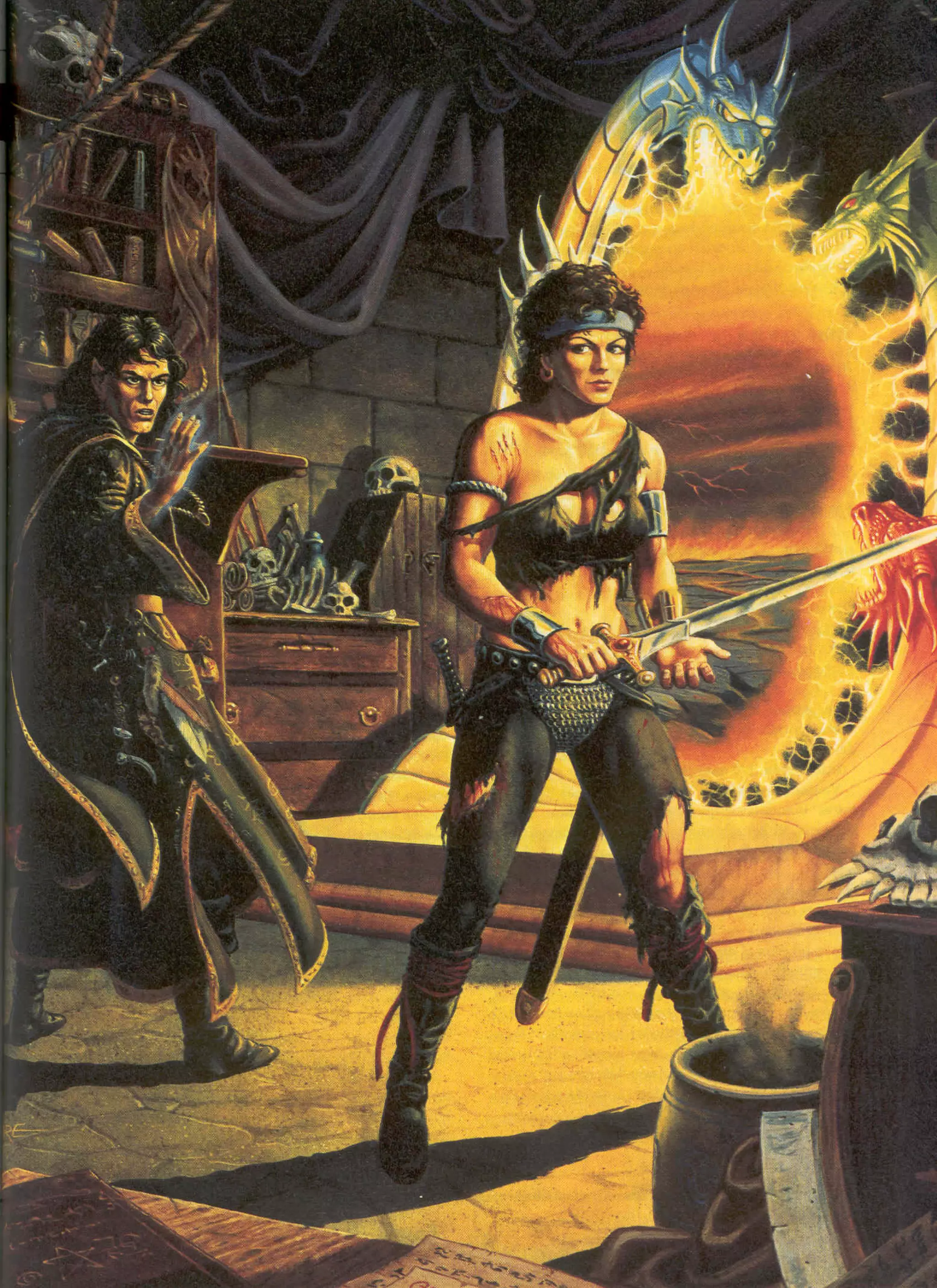 D&D   2.0 -el libro de los elfos