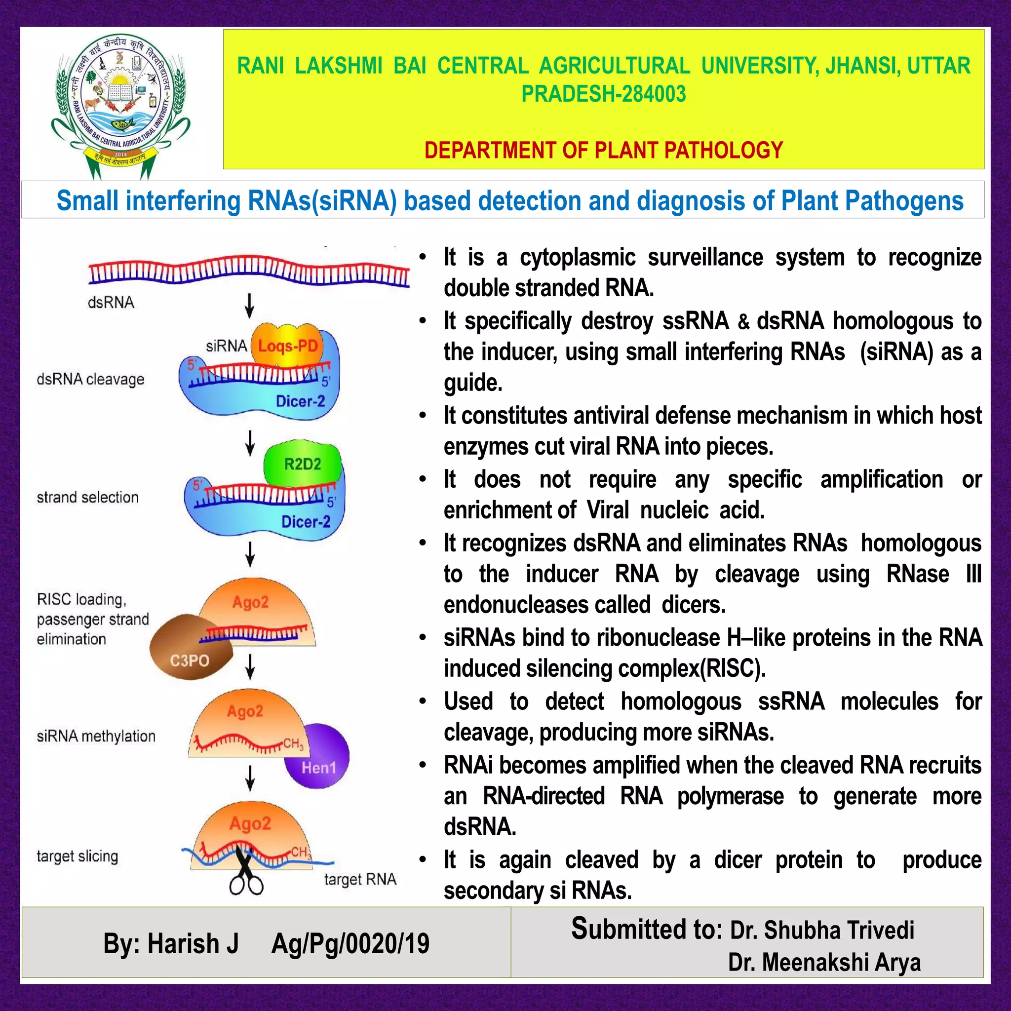 Small interfering RNA's based detection and diagnosis of plant ...