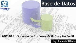 Base de Datos
UNIDAD 1: El mundo de las Bases de Datos y los SMBD
Ing. Ricardo Tillero
 