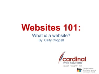 Websites 101: 
What is a website? 
By: Caity Cogdell 
 