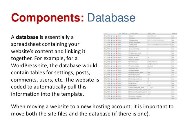What are the components of a database?