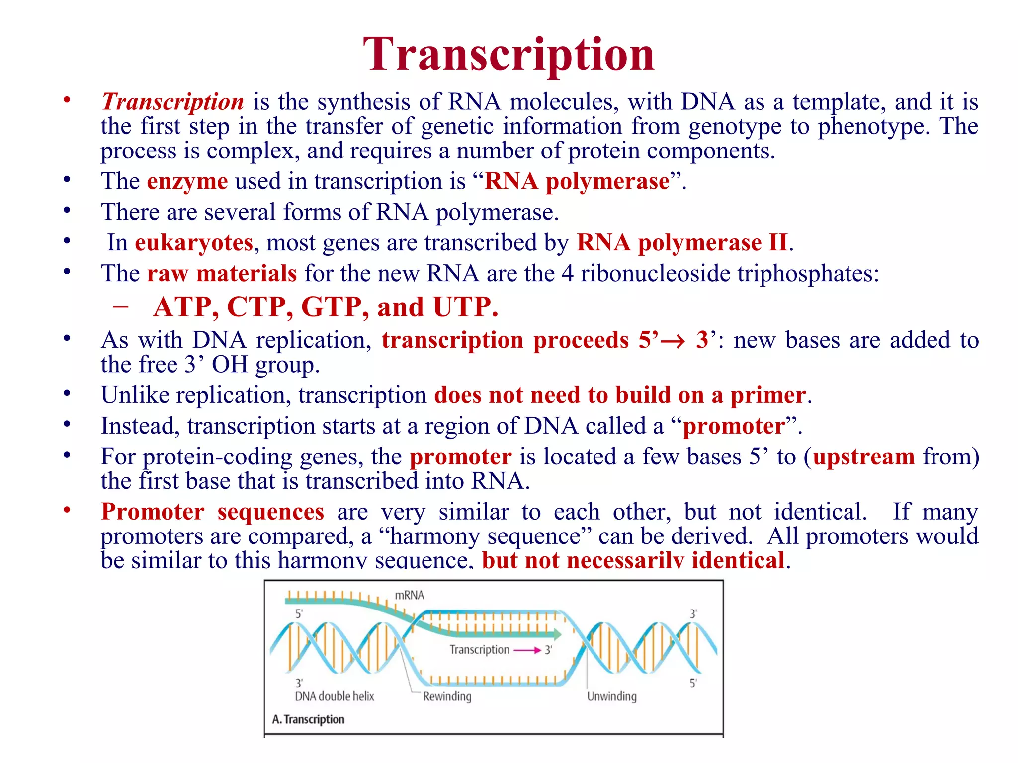 Primary Transcript Genetics The flow of genetic information transcription | PPT