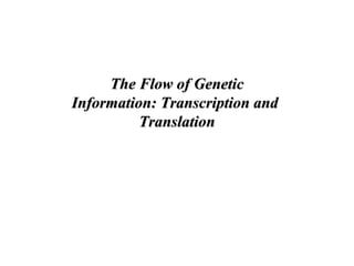 The Flow of GeneticThe Flow of Genetic
Information: Transcription andInformation: Transcription and
TranslationTranslation
 