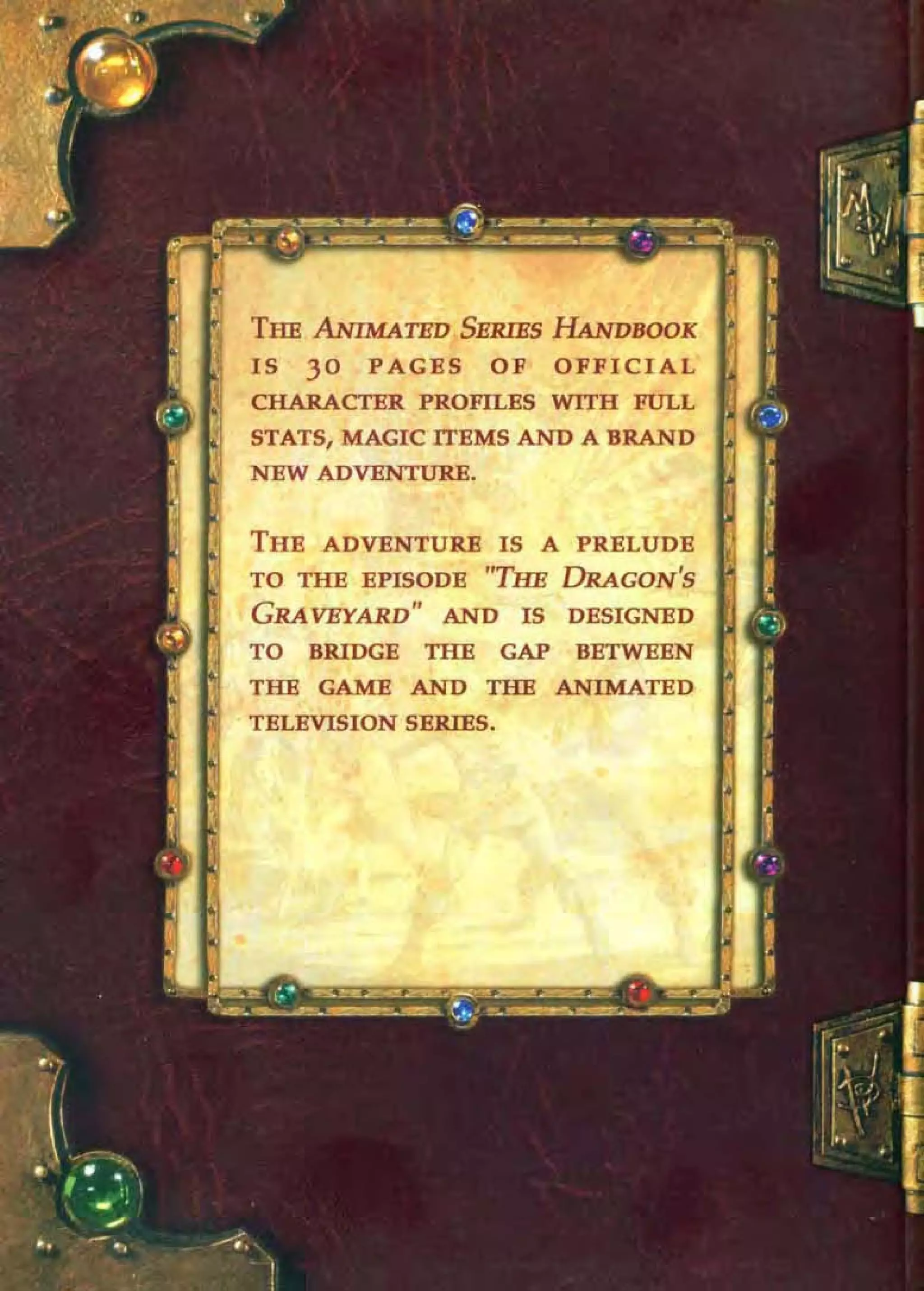 D&D 3.5  animated series handbook