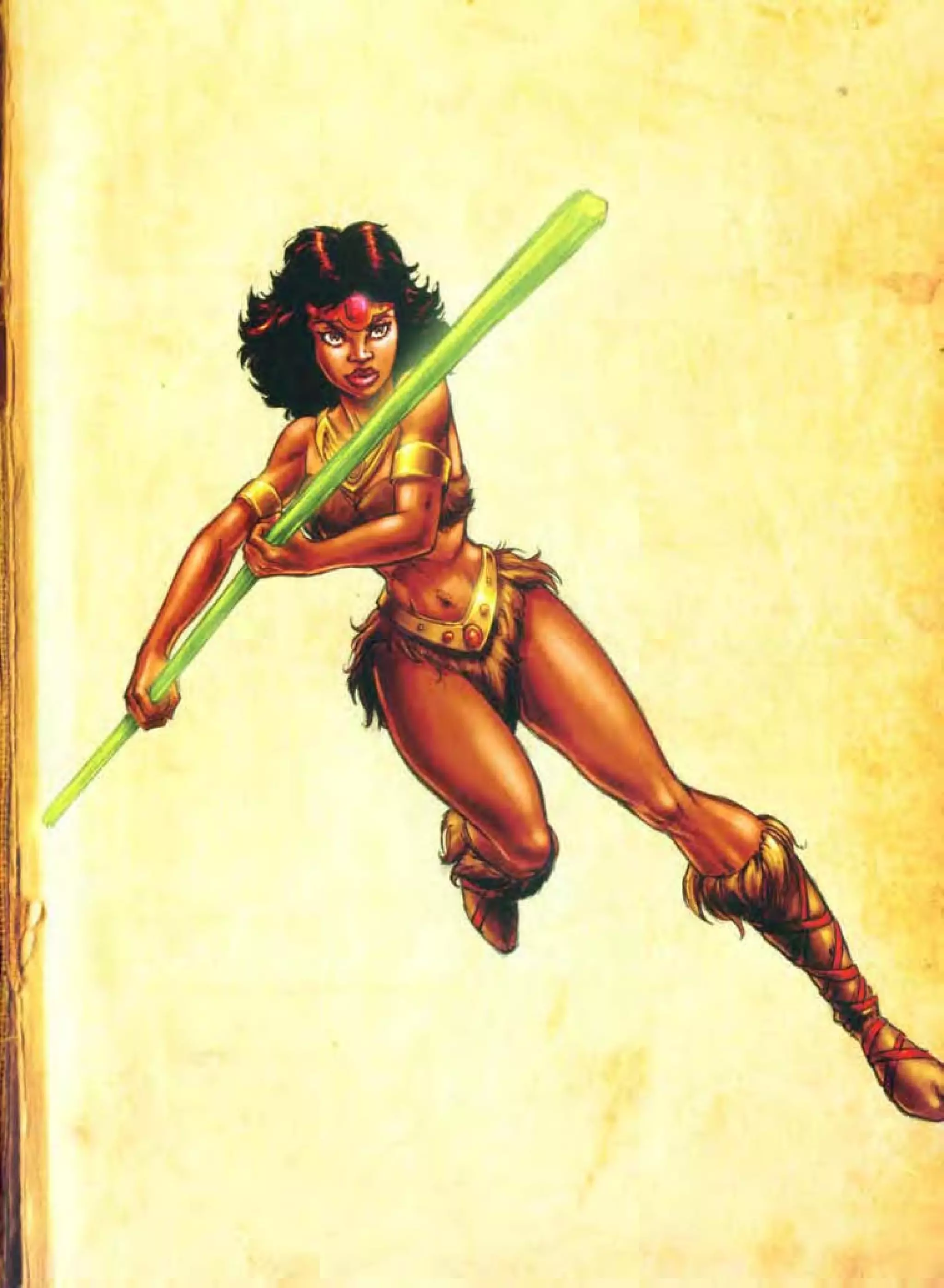 D&D 3.5  animated series handbook