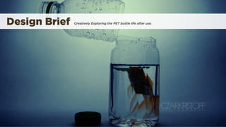 Design Brief   Creatively Exploring the PET bottle life after use.
 