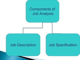 Components of
Job Analysis
Job Description Job Specification
 