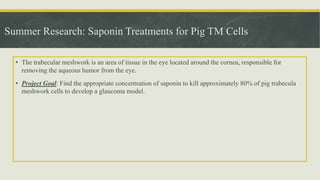 Summer Research: Saponin Treatments for Pig TM Cells
• The trabecular meshwork is an area of tissue in the eye located around the cornea, responsible for
removing the aqueous humor from the eye.
• Project Goal: Find the appropriate concentration of saponin to kill approximately 80% of pig trabecula
meshwork cells to develop a glaucoma model.
 