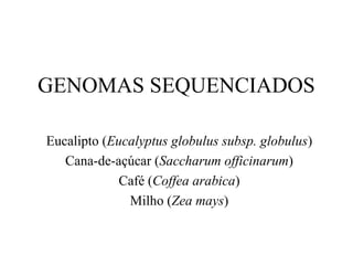 GENOMAS SEQUENCIADOS
Eucalipto (Eucalyptus globulus subsp. globulus)
Cana-de-açúcar (Saccharum officinarum)
Café (Coffea arabica)
Milho (Zea mays)
 