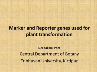 Marker and Reporter genes used for
plant transformation
Deepak Raj Pant
Central Department of Botany
Tribhuvan University, Kirtipur
1
 