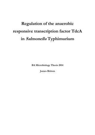Regulation of the anaerobic
responsive transcription factor TdcA
in Salmonella Typhimurium
BA Microbiology Thesis 2014
James Britton
 