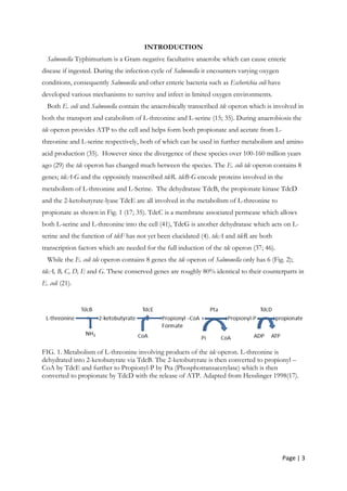 Page | 3
INTRODUCTION
Salmonella Typhimurium is a Gram-negative facultative anaerobe which can cause enteric
disease if ingested. During the infection cycle of Salmonella it encounters varying oxygen
conditions, consequently Salmonella and other enteric bacteria such as Escherichia coli have
developed various mechanisms to survive and infect in limited oxygen environments.
Both E. coli and Salmonella contain the anaerobically transcribed tdc operon which is involved in
both the transport and catabolism of L-threonine and L-serine (15; 35). During anaerobiosis the
tdc operon provides ATP to the cell and helps form both propionate and acetate from L-
threonine and L-serine respectively, both of which can be used in further metabolism and amino
acid production (35). However since the divergence of these species over 100-160 million years
ago (29) the tdc operon has changed much between the species. The E. coli tdc operon contains 8
genes; tdcA-G and the oppositely transcribed tdcR. tdcB-G encode proteins involved in the
metabolism of L-threonine and L-Serine. The dehydratase TdcB, the propionate kinase TdcD
and the 2-ketobutyrate-lyase TdcE are all involved in the metabolism of L-threonine to
propionate as shown in Fig. 1 (17; 35). TdcC is a membrane associated permease which allows
both L-serine and L-threonine into the cell (41), TdcG is another dehydratase which acts on L-
serine and the function of tdcF has not yet been elucidated (4). tdcA and tdcR are both
transcription factors which are needed for the full induction of the tdc operon (37; 46).
While the E. coli tdc operon contains 8 genes the tdc operon of Salmonella only has 6 (Fig. 2);
tdcA, B, C, D, E and G. These conserved genes are roughly 80% identical to their counterparts in
E. coli (21).
FIG. 1. Metabolism of L-threonine involving products of the tdc operon. L-threonine is
dehydrated into 2-ketobutyrate via TdcB. The 2-ketobutyrate is then converted to propionyl –
CoA by TdcE and further to Propionyl-P by Pta (Phosphotransacetylase) which is then
converted to propionate by TdcD with the release of ATP. Adapted from Hesslinger 1998(17).
 