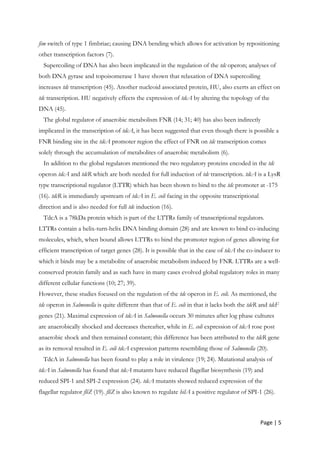 Page | 5
fim switch of type 1 fimbriae; causing DNA bending which allows for activation by repositioning
other transcription factors (7).
Supercoiling of DNA has also been implicated in the regulation of the tdc operon; analyses of
both DNA gyrase and topoisomerase 1 have shown that relaxation of DNA supercoiling
increases tdc transcription (45). Another nucleoid associated protein, HU, also exerts an effect on
tdc transcription. HU negatively effects the expression of tdcA by altering the topology of the
DNA (45).
The global regulator of anaerobic metabolism FNR (14; 31; 40) has also been indirectly
implicated in the transcription of tdcA, it has been suggested that even though there is possible a
FNR binding site in the tdcA promoter region the effect of FNR on tdc transcription comes
solely through the accumulation of metabolites of anaerobic metabolism (6).
In addition to the global regulators mentioned the two regulatory proteins encoded in the tdc
operon tdcA and tdcR which are both needed for full induction of tdc transcription. tdcA is a LysR
type transcriptional regulator (LTTR) which has been shown to bind to the tdc promoter at -175
(16). tdcR is immediately upstream of tdcA in E. coli facing in the opposite transcriptional
direction and is also needed for full tdc induction (16).
TdcA is a 78kDa protein which is part of the LTTRs family of transcriptional regulators.
LTTRs contain a helix-turn-helix DNA binding domain (28) and are known to bind co-inducing
molecules, which, when bound allows LTTRs to bind the promoter region of genes allowing for
efficient transcription of target genes (28). It is possible that in the case of tdcA the co-inducer to
which it binds may be a metabolite of anaerobic metabolism induced by FNR. LTTRs are a well-
conserved protein family and as such have in many cases evolved global regulatory roles in many
different cellular functions (10; 27; 39).
However, these studies focused on the regulation of the tdc operon in E. coli. As mentioned, the
tdc operon in Salmonella is quite different than that of E. coli in that it lacks both the tdcR and tdcF
genes (21). Maximal expression of tdcA in Salmonella occurs 30 minutes after log phase cultures
are anaerobically shocked and decreases thereafter, while in E. coli expression of tdcA rose post
anaerobic shock and then remained constant; this difference has been attributed to the tdcR gene
as its removal resulted in E. coli tdcA expression patterns resembling those of Salmonella (20).
TdcA in Salmonella has been found to play a role in virulence (19; 24). Mutational analysis of
tdcA in Salmonella has found that tdcA mutants have reduced flagellar biosynthesis (19) and
reduced SPI-1 and SPI-2 expression (24). tdcA mutants showed reduced expression of the
flagellar regulator fliZ (19). fliZ is also known to regulate hilA a positive regulator of SPI-1 (26).
 