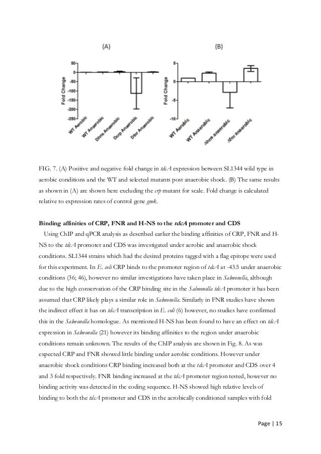 Tcd thesis template picture