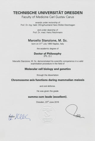 PhD and DIPP certificate