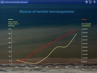 GLOBAL INTERNATIONAL
WATERS ASSESSMENT
0
50
100
150
200
250
300
350
400
1970 1975 1980 1985 1990 1995 2000
0
50 000
100 000
150 000
200 000
250 000
300 000
350 000
400 000
450 000
500 000
No of people
hospitalized
West central
Atlantic. No of
episodes
Blooms of harmful microorganisms
 