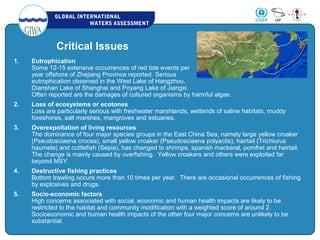 GLOBAL INTERNATIONAL
WATERS ASSESSMENT
1. Eutrophication
Some 12-15 extensive occurrences of red tide events per
year offshore of Zhejiang Province reported. Serious
eutrophication observed in the West Lake of Hangzhou,
Dianshan Lake of Shanghai and Poyang Lake of Jiangxi.
Often reported are the damages of cultured organisms by harmful algae.
2. Loss of ecosystems or ecotones
Loss are particularly serious with freshwater marshlands, wetlands of saline habitats, muddy
foreshores, salt marshes, mangroves and estuaries.
3. Overexpoitation of living resources
The dominance of four major species groups in the East China Sea, namely large yellow croaker
(Pseudosciaena crocea), small yellow croaker (Pseudosciaena polyactis), hairtail (Trichiurus
haumela) and cuttlefish (Sepia), has changed to shrimps, spanish mackeral, pomfret and hairtail.
The change is mainly caused by overfishing. Yellow croakers and others were exploited far
beyond MSY.
4. Destructive fishing practices
Bottom trawling occurs more than 10 times per year. There are occasional occurrences of fishing
by explosives and drugs.
5. Socio-economic factors
High concerns associated with social, economic and human health impacts are likely to be
restricted to the habitat and community modification with a weighted score of around 2.
Socioeconomic and human health impacts of the other four major concerns are unlikely to be
substantial.
Critical Issues
 