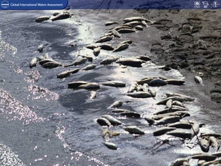 GLOBAL INTERNATIONAL
WATERS ASSESSMENT
 