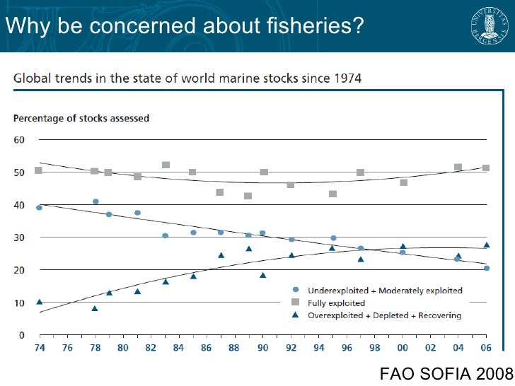 Research paper about fisheries picture