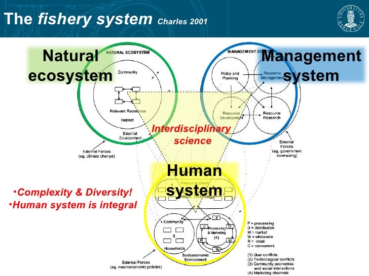 Fishery management dissertation image