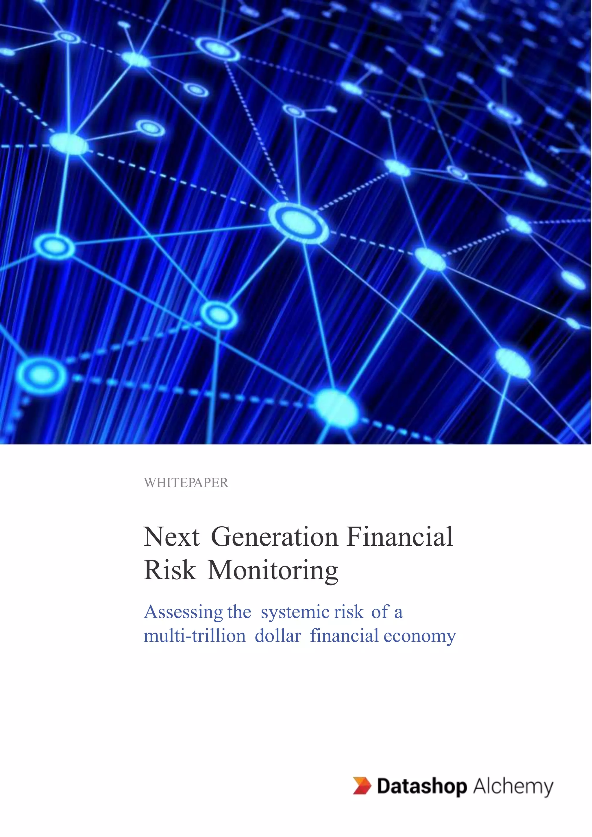 WHITEPAPER
Next Generation Financial
Risk Monitoring
Assessing the systemic risk of a
multi-trillion dollar financial economy
 