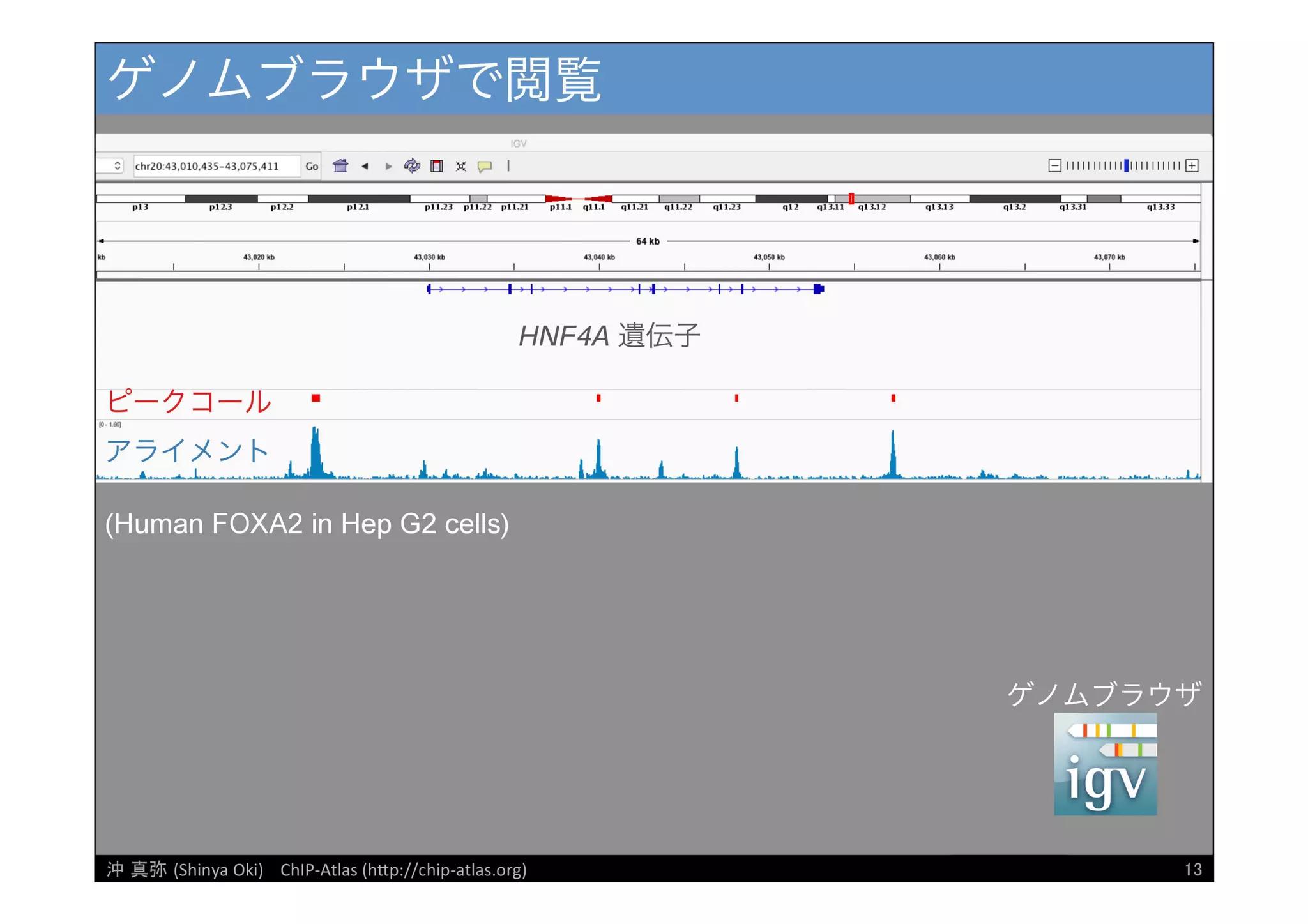 [DDBJ Challenge 2016] DDBJデータ解析事例「ChIP-Atlasデータベース」の紹介