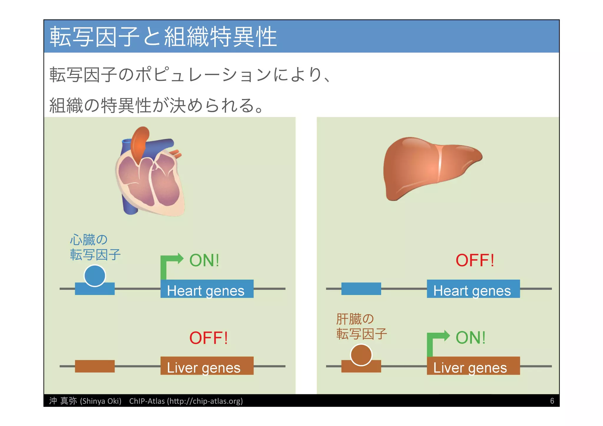 [DDBJ Challenge 2016] DDBJデータ解析事例「ChIP-Atlasデータベース」の紹介