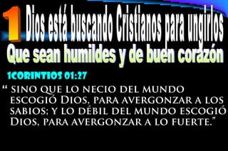 1Corintios 01:27
“ sino que lo necio del mundo
escogió Dios, para avergonzar a los
sabios; y lo débil del mundo escogió
Dios, para avergonzar a lo fuerte.”
 