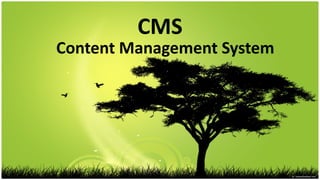 CMS Content Management System 