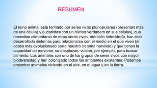 RESUMEN
El reino animal está formado por seres vivos pluricelulares (presentan más
de una célula) y eucariotas(con un núcleo verdadero en sus células), que
necesitan alimentarse de otros seres vivos, nutrición heterótrofa, han sido
desarrollado sistemas para relacionarse con el medio en el que viven (el
acaso más evolucionado sería nuestro sistema nervioso) y que tienen la
capacidad de moverse, se desplazan, vuelan, por ejemplo, para buscar
alimento. Los animales son uno de los grupos de seres vivos con mayor
biodiversidad y han colonizado todos los ambientes existentes. Podemos
encontrar animales viviendo en el aire, en el agua y en la tierra.
 