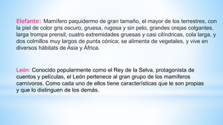 Elefante: Mamífero paquidermo de gran tamaño, el mayor de los terrestres, con
la piel de color gris oscuro, gruesa, rugosa y sin pelo, grandes orejas colgantes,
larga trompa prensil, cuatro extremidades gruesas y casi cilíndricas, cola larga, y
dos colmillos muy largos de punta cónica; se alimenta de vegetales, y vive en
diversos hábitats de Asia y África.
León: Conocido popularmente como el Rey de la Selva, protagonista de
cuentos y películas, el León pertenece al gran grupo de los mamíferos
carnívoros. Como cada uno de ellos tiene características que le son propias
y que lo distinguen de los demás.
 