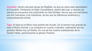 Cocodrilo: Dentro del gran grupo de Reptiles, es que se ubica este depredador,
el Cocodrilo. Pertenece al orden Cocodriliana, dentro del cual, a razones de
ciencia se encuentra una subdivisión en tres familias. Así es que sus hermanos
son los Caimanes y los Gavilanes, de los que se diferencia anatómica y
comportamental mente.
Tigre: El tigre es el felino mas grande del mundo. Es el animal mas grande de
todo el Reino Animal, y se compara en cuanto a tamaño, solamente con los
grandes félidos hoy ya fósiles. Es una de las cuatros subespecies de la
familia Félida, perteneciente al género Pantera
 