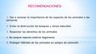 RECOMENDACIONES
1. Dar a conocer la importancia de las especies de los animales a las
personas
2. Evitar la destrucción de bosques y zonas naturales
3. Respectar los derechos de los animales
4. No comprar especies exóticas ilegalmente
5. Proteger hábitats de los animales en peligro de extinción
 