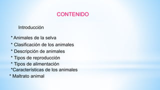 CONTENIDO
Introducción
* Animales de la selva
* Clasificación de los animales
* Descripción de animales
* Tipos de reproducción
* Tipos de alimentación
*Características de los animales
* Maltrato animal
 