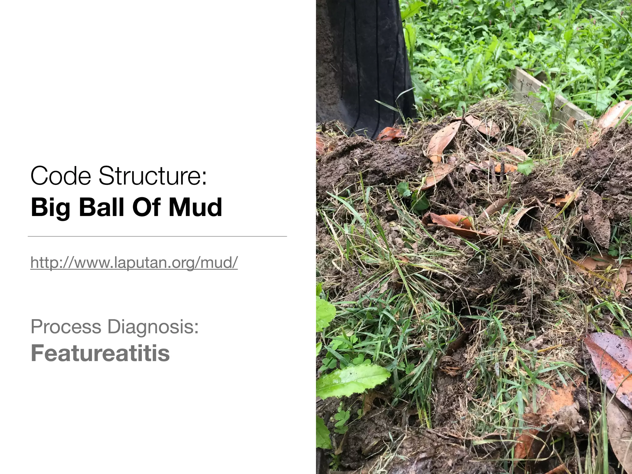 Code Structure:
Big Ball Of Mud
http://www.laputan.org/mud/

Process Diagnosis:

Featureatitis
 